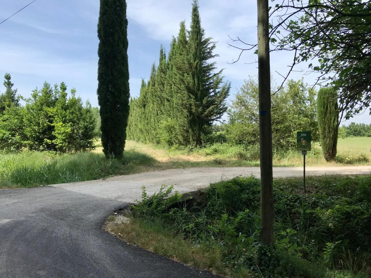 Villa Le Jardin D'Erables St Remy 7 Ha Piscine/Clim Paluds de Noves Exterior foto